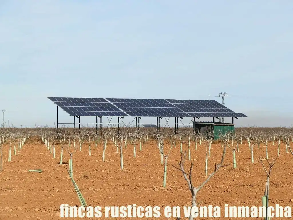 Jardín de Terreno en venta en Albacete