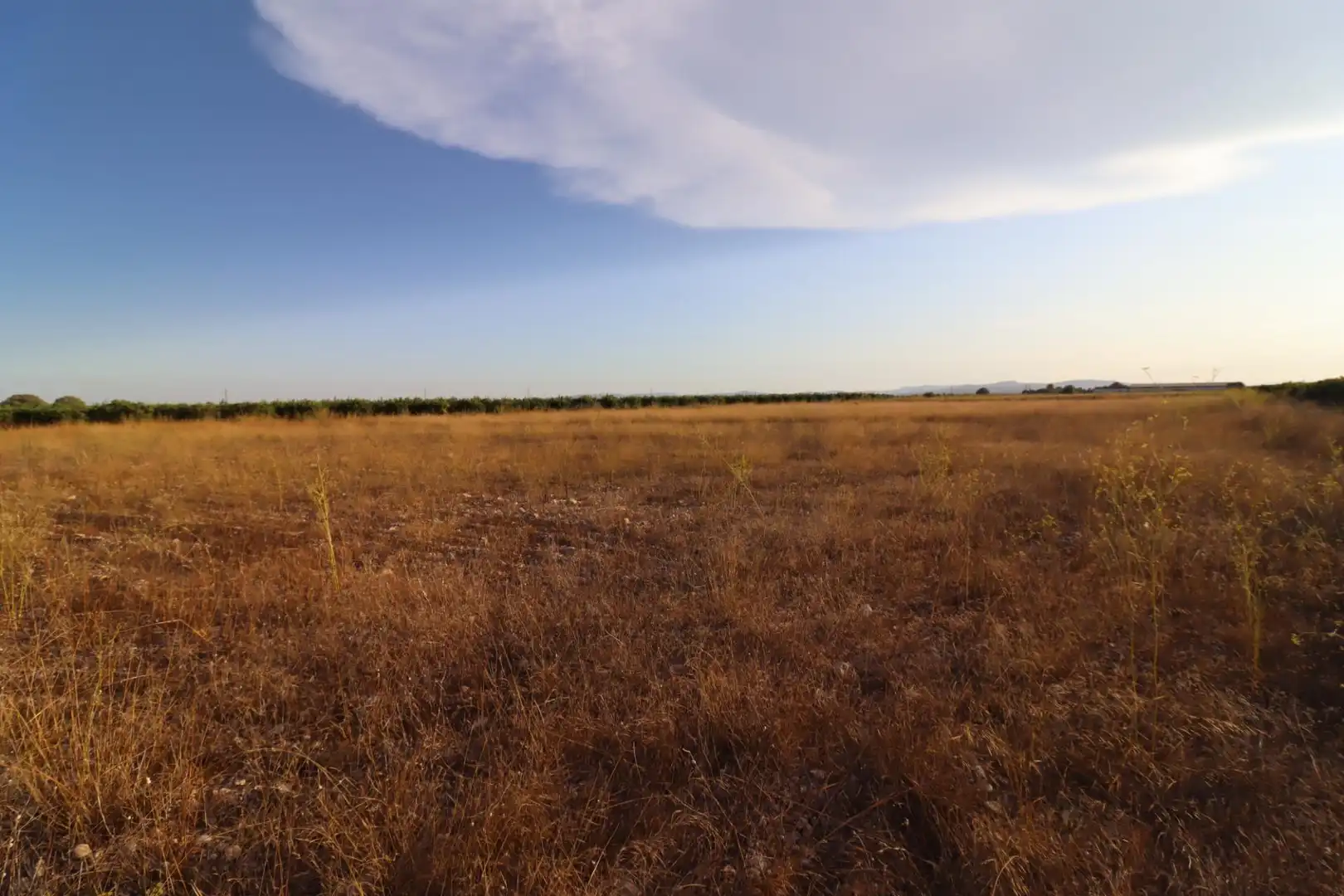 Rural land for sale in Traiguera, imagen 5