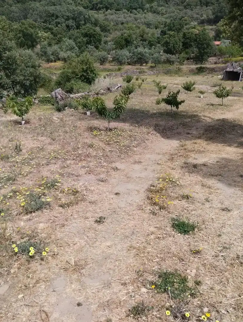 Finca rústica en venta en Pasarón de la Vera
