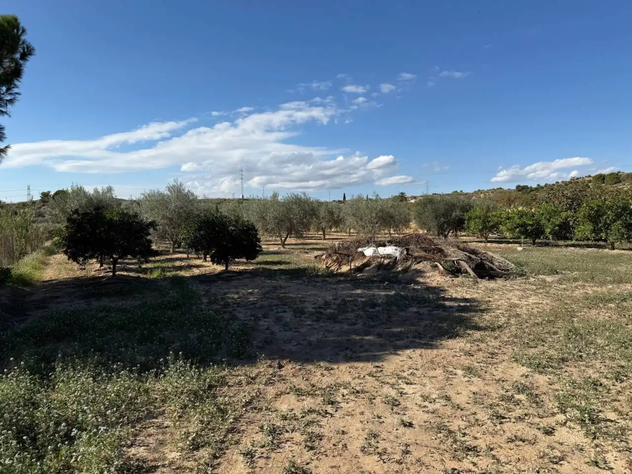 Finca rústica en venta en Elche / Elx con Terraza y Amueblado