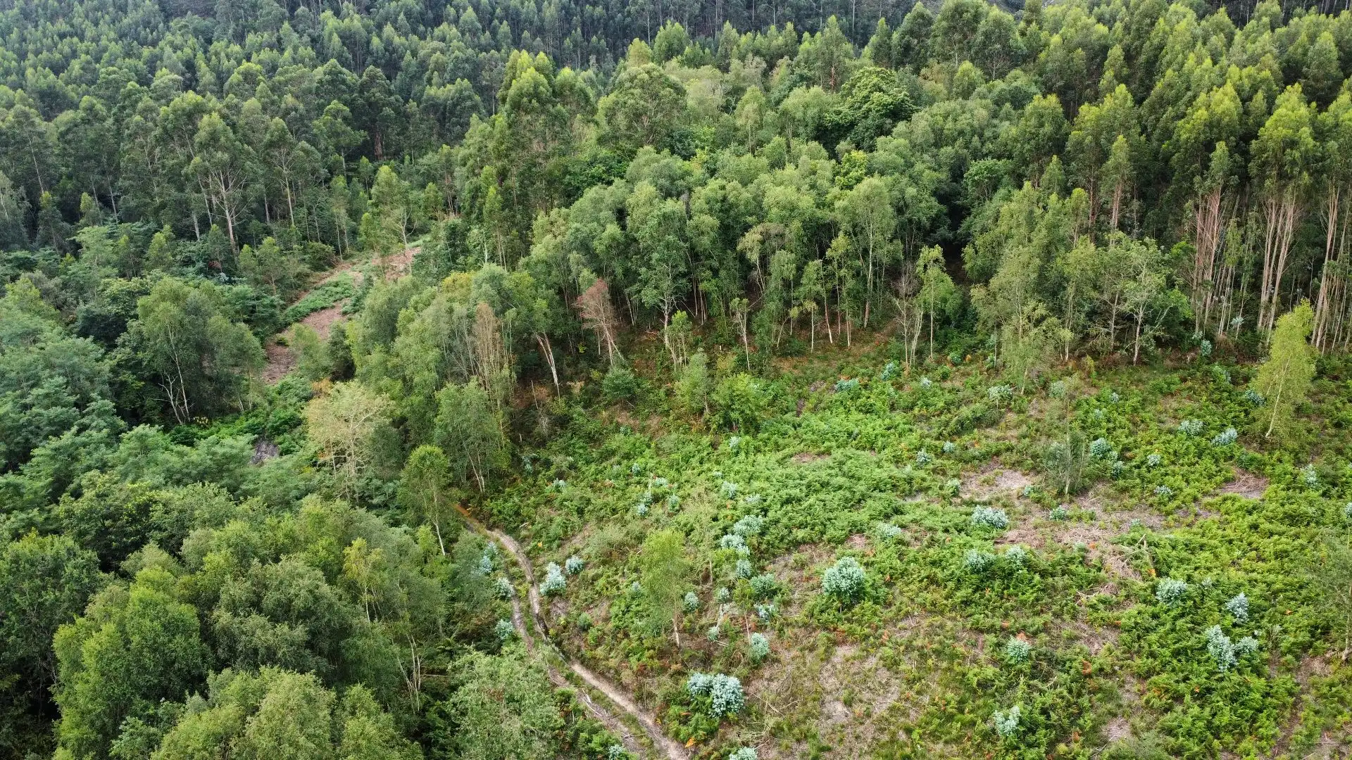 Terreno rustico in vendita a Pría - Nueva-Hontoria - Naves, imagen 6