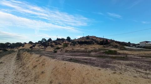 Photo 3 of Land for sale in Polígono del Rincón de Borisa, Pedanías Oeste, Aspe