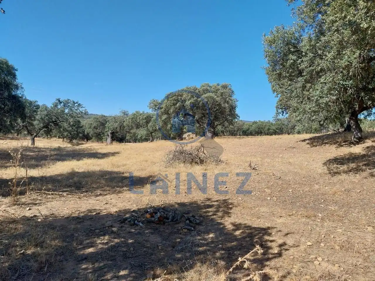 Lands and plots for sale in Fuente Obejuna, imagen 33