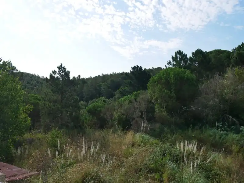 Residential land for sale in Avinguda Rafael Albertí 46, imagen 30