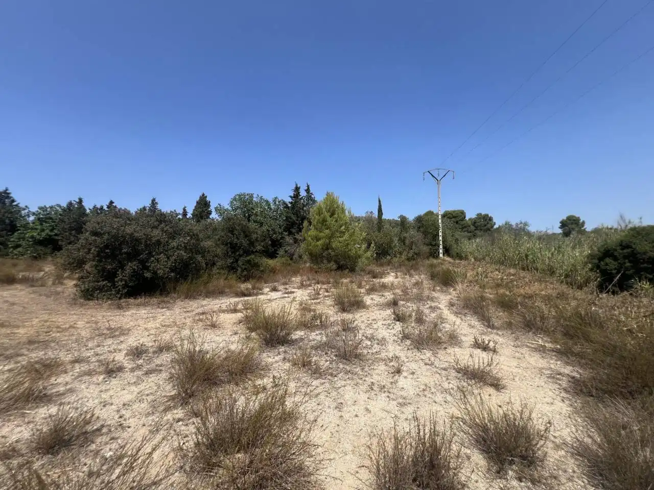 Rural land for sale in Camino Aleixar 15, imagen 12