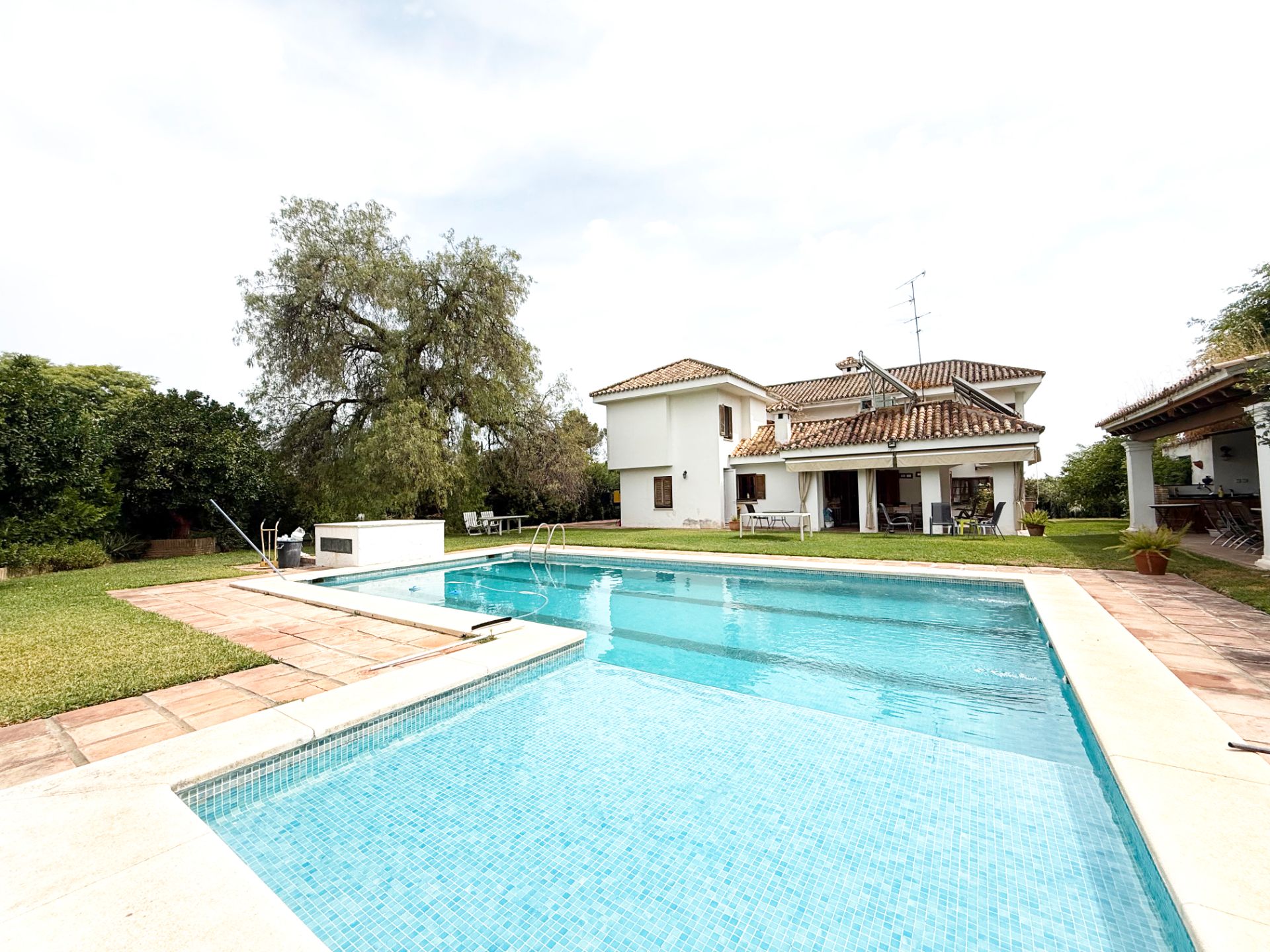 Swimming pool of House or chalet for sale in Mairena del Aljarafe  with Private garden and Swimming Pool