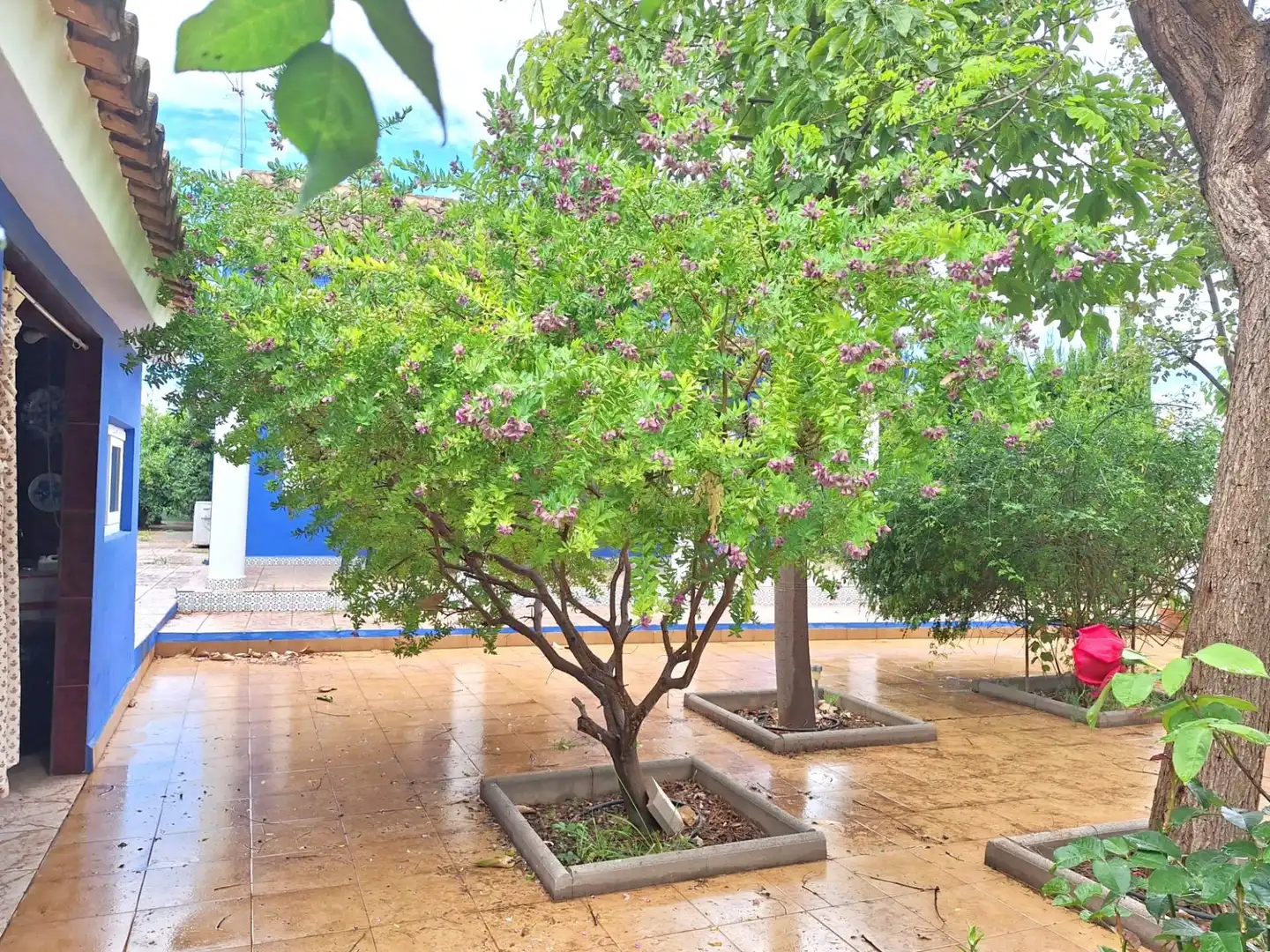 Country homes for sale in Sangonera la Seca