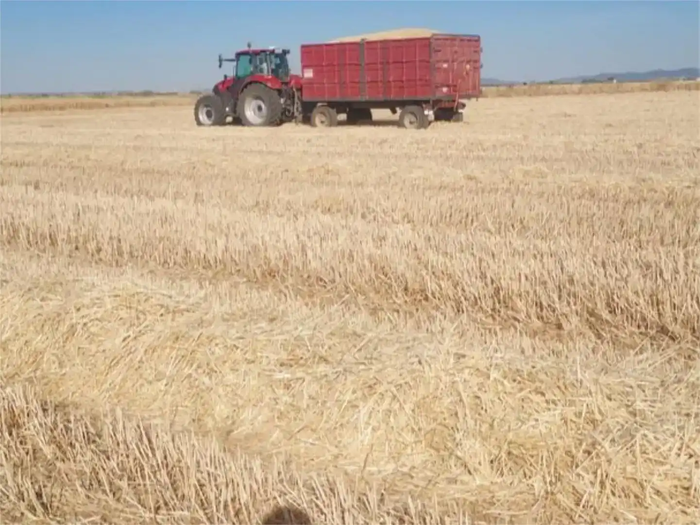Finca rústica en venda en Manzanares