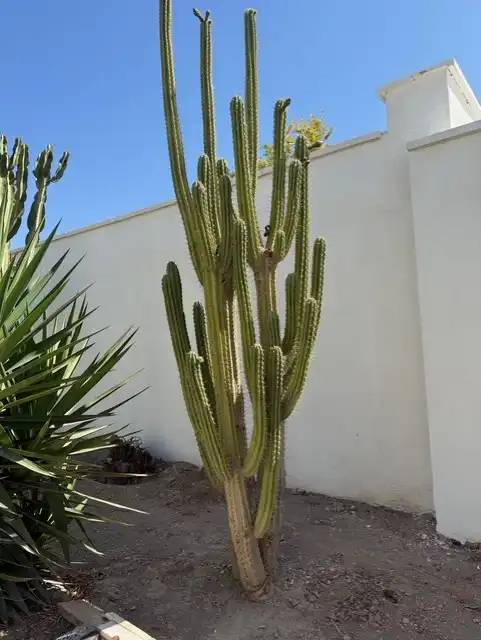 Jardín de Casa o chalet en venta en Almería con Aire acondicionado, Jardín privado y Terraza