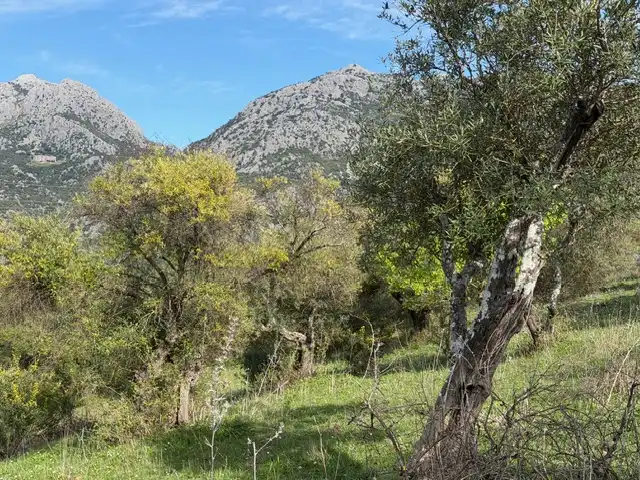 Land for sale in Ubrique