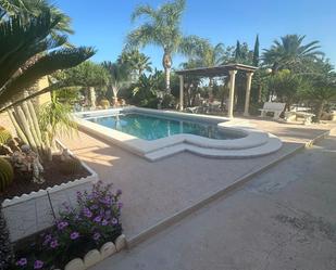 Swimming pool of Single-family semi-detached for sale in Elche / Elx  with Terrace and Swimming Pool