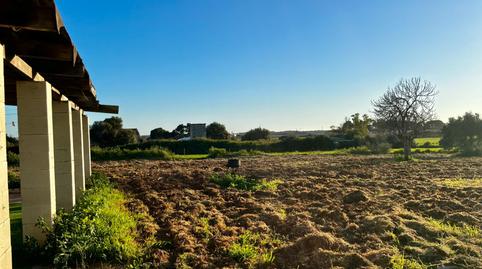 Foto 3 von Grundstücke zum Verkauf in Son Ferriol, Palma de Mallorca