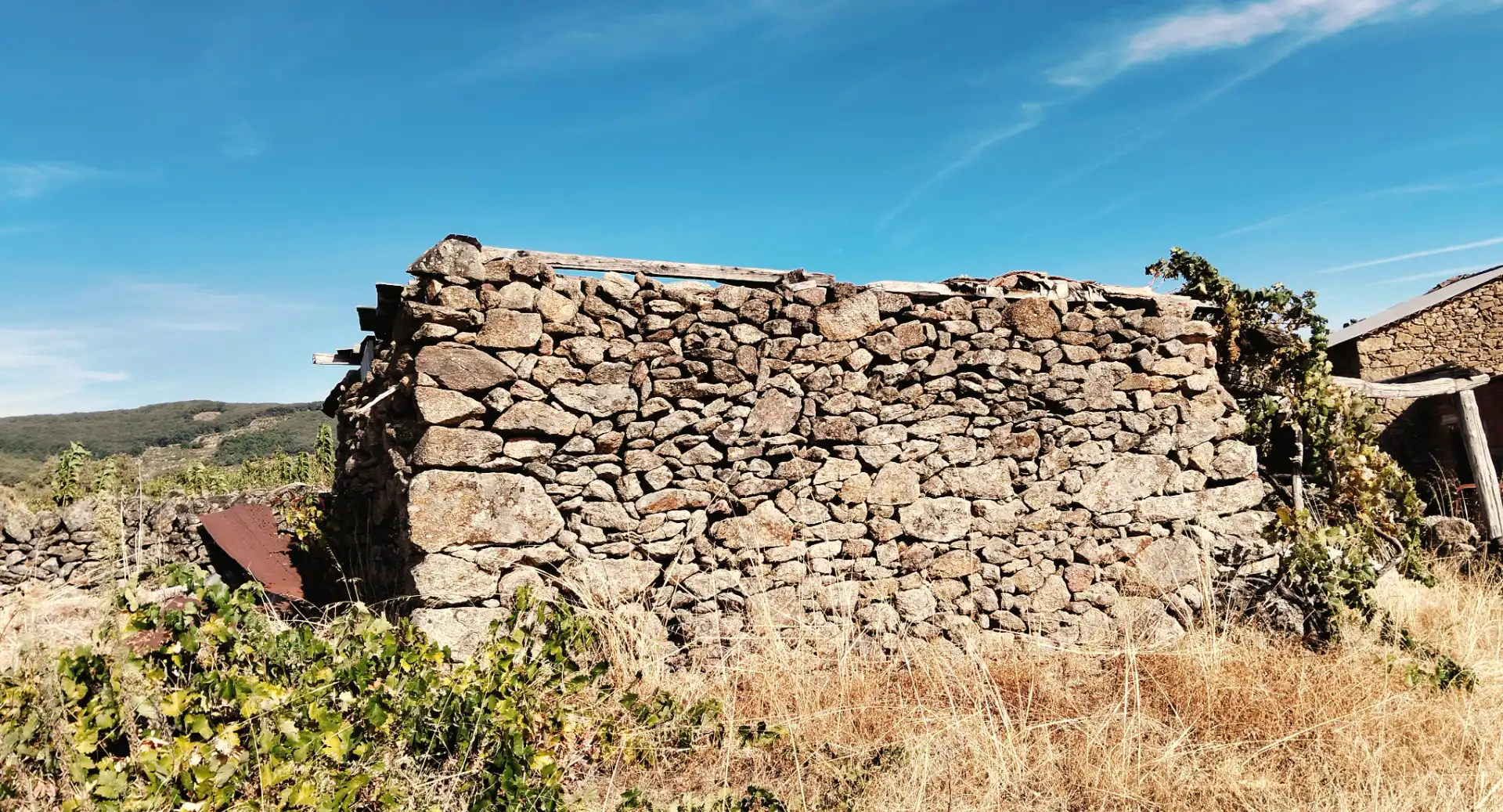 Terrain rustique à vendre à Avenida Extremadura 72, imagen 3