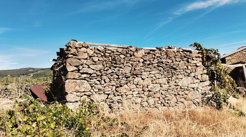 VENTA DE FINCA CON CASA EN EL VALLE DEL JERTE, immagine 3