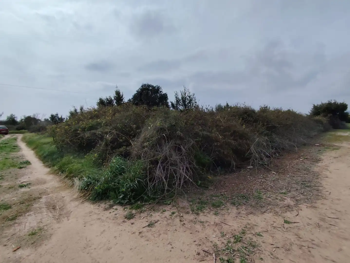 Lands and plots for sale in SECTOR SUNP 29