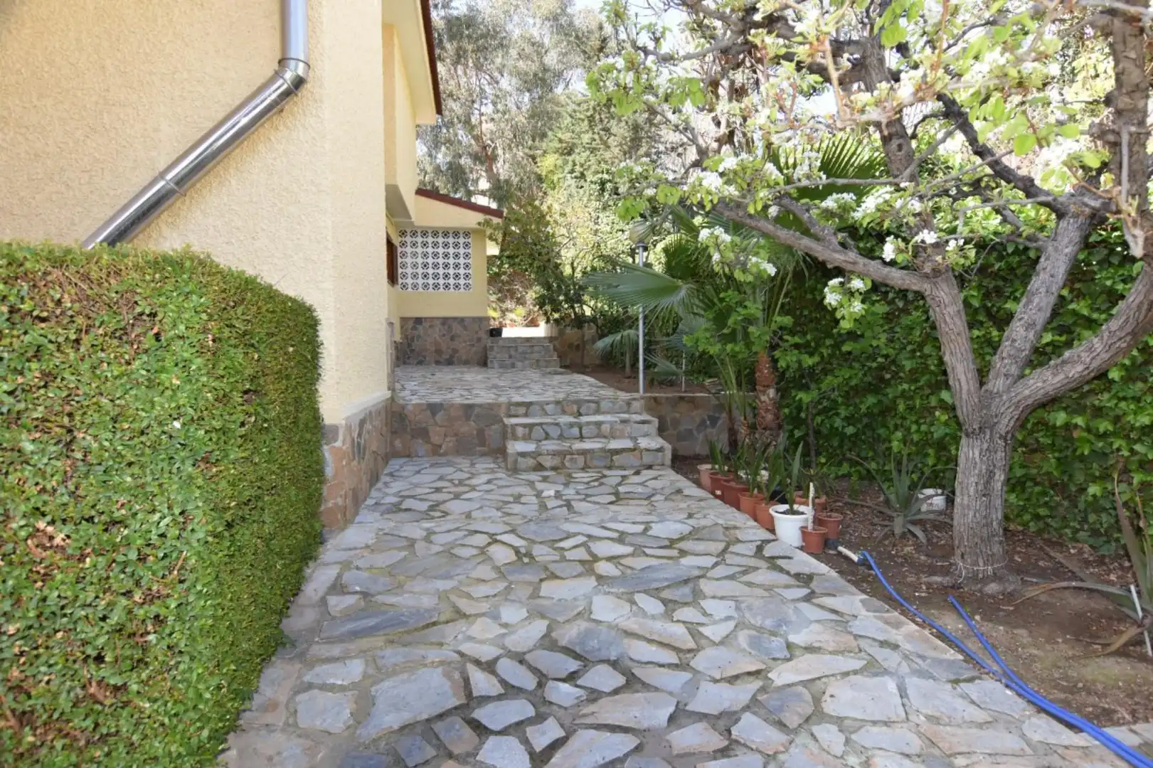 Vista exterior de Casa o chalet en venta en Mazarrón con Calefacción, Jardín privado y Terraza