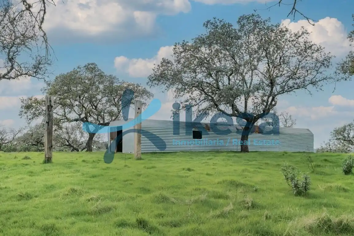 Exterior view of Land for sale in Puebla de Guzmán