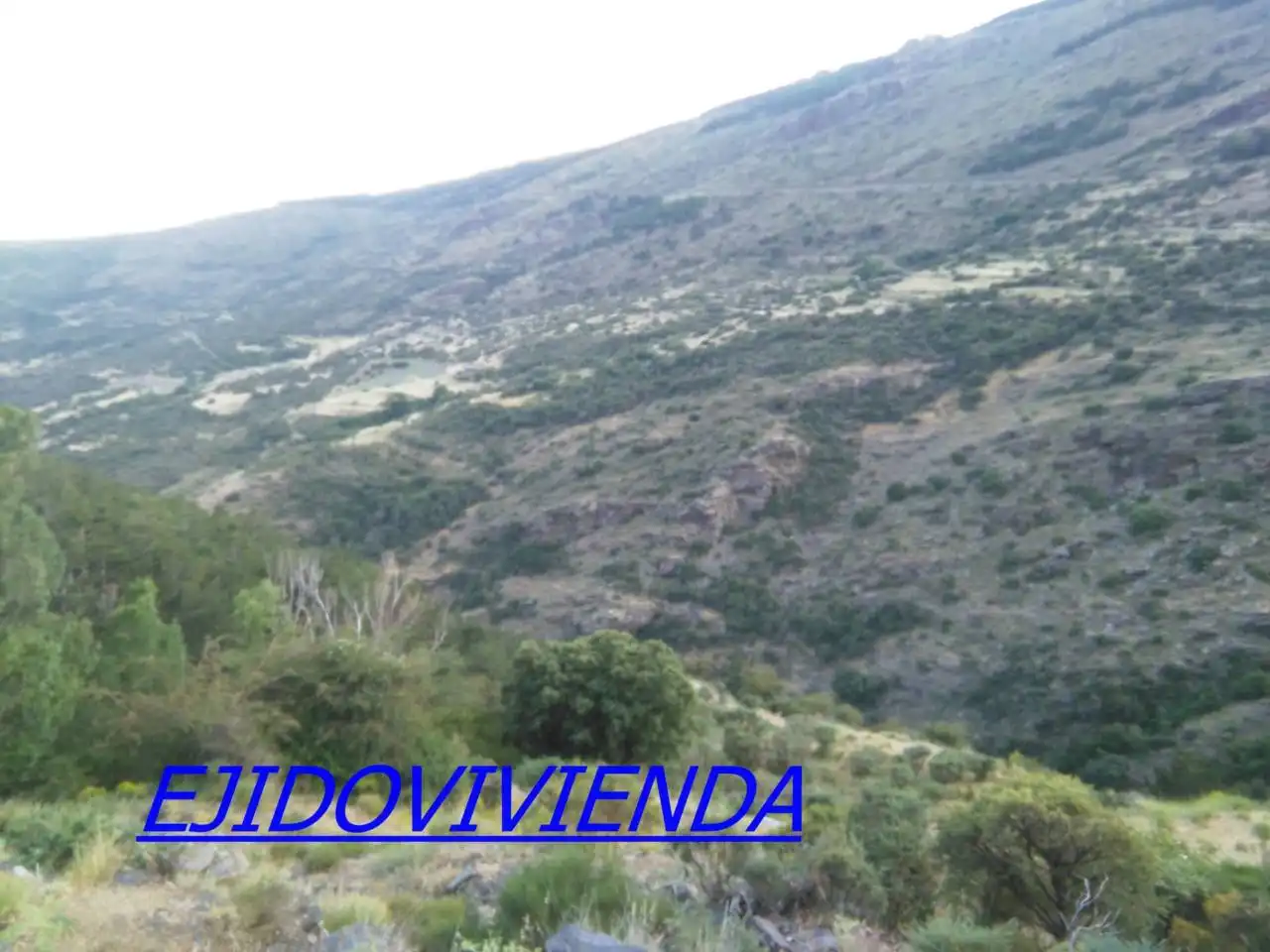 Terreni e lotti in vendita a Nevada