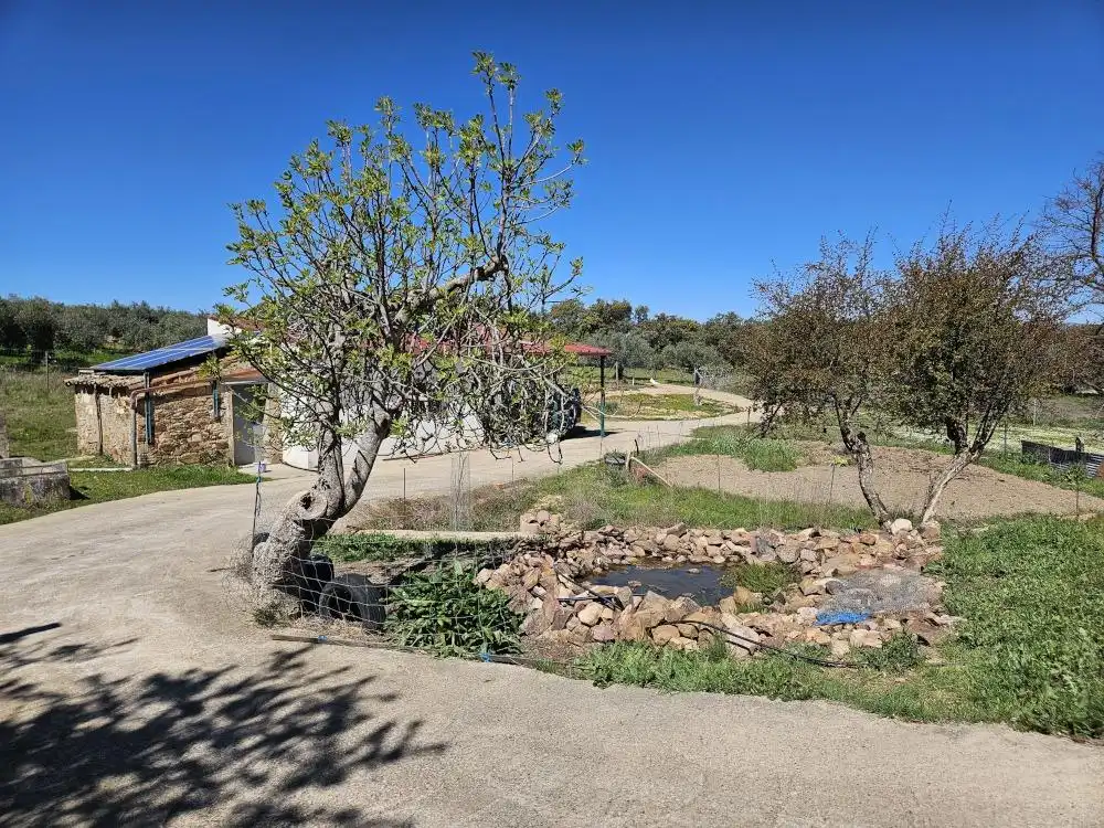 Casa o xalet en venda en Agudo, Ciudad Real