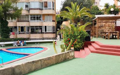 Swimming pool of Study for sale in Calvià  with Private garden, Terrace and Balcony