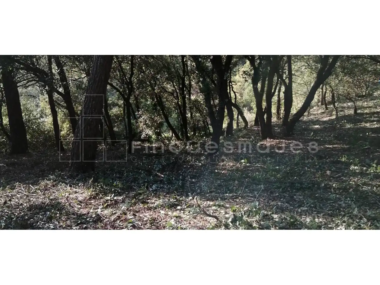 Terreny rústic en venda a Vacarisses, imagen 10