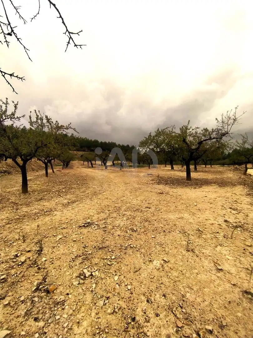 Residential for sale in Ginestar