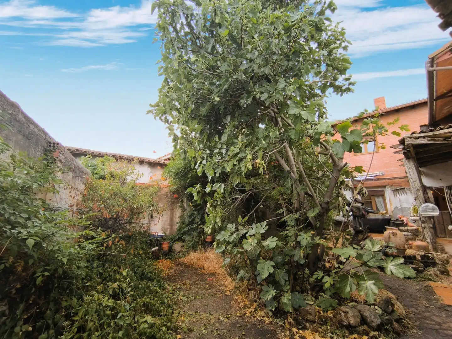 Jardín de Casa o chalet en venta en Pedraza de Campos con Calefacción, Jardín privado y Terraza