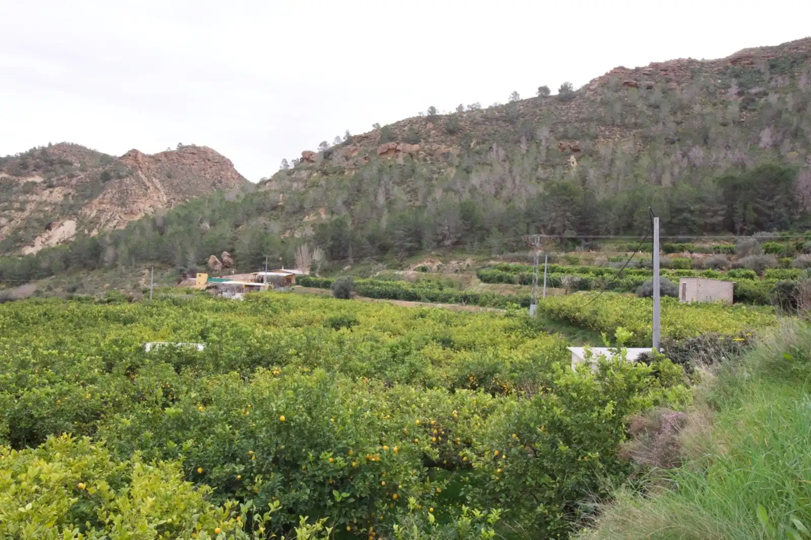 Residencial en venta en Algezares