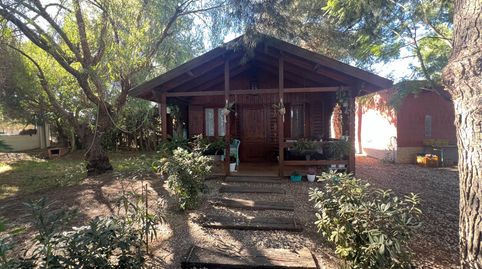 Foto 4 de Finca rústica en venta en N/a, -1, Dolores, Alicante