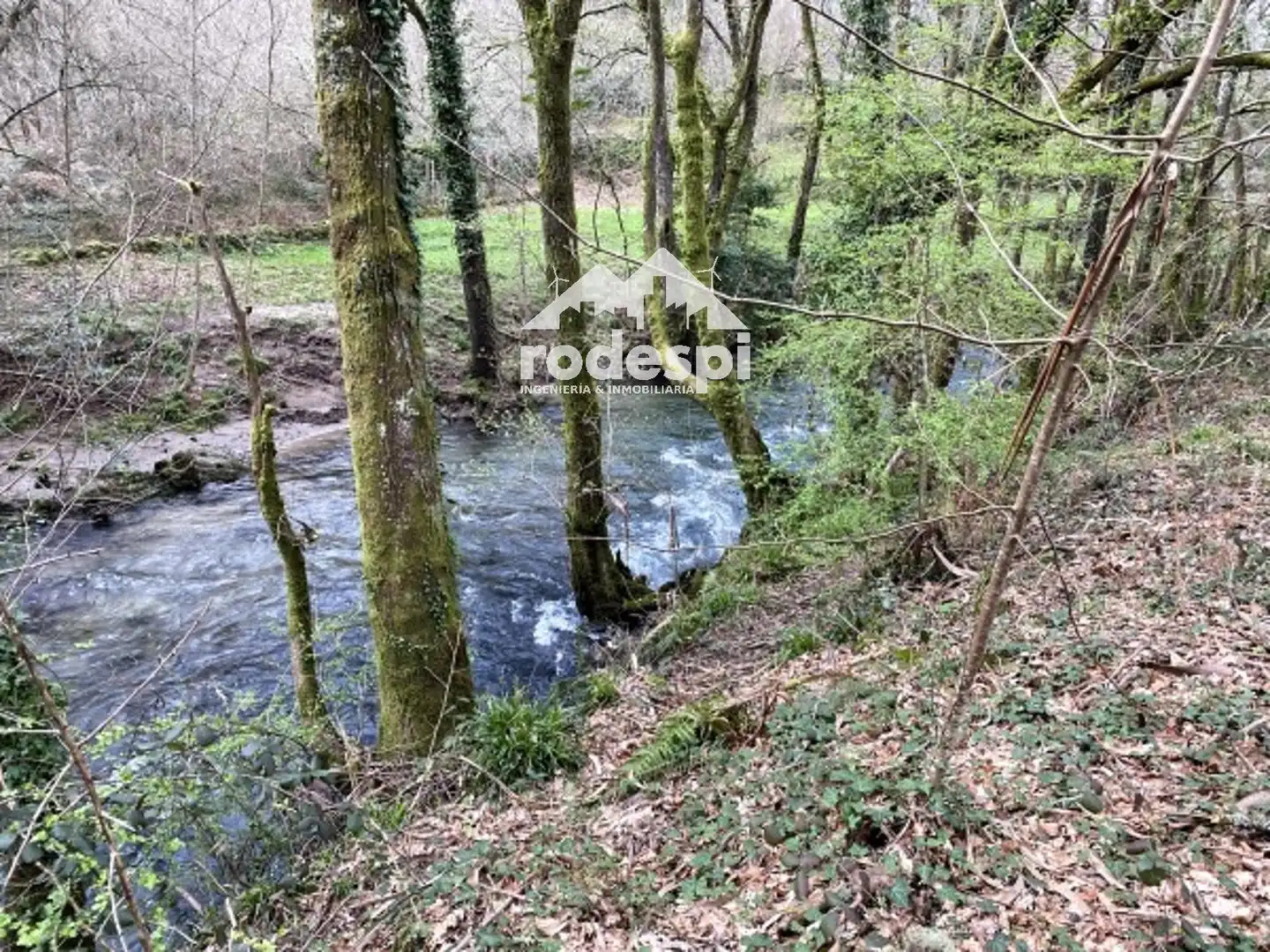 Terreny rústic en venda a A Cañiza, imagen 17