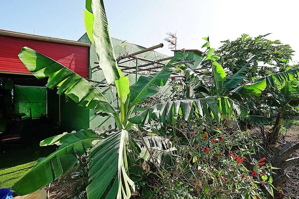 Finca rústica en venta en Camino DEHESA, 10, Santa María de Guía de Gran Canaria