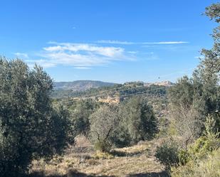 Land for sale in Torre del Compte