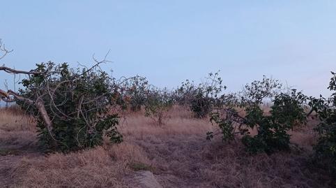 Foto 2 de Casa o chalet en venta en Calle Arroyo, Montearagón, Toledo