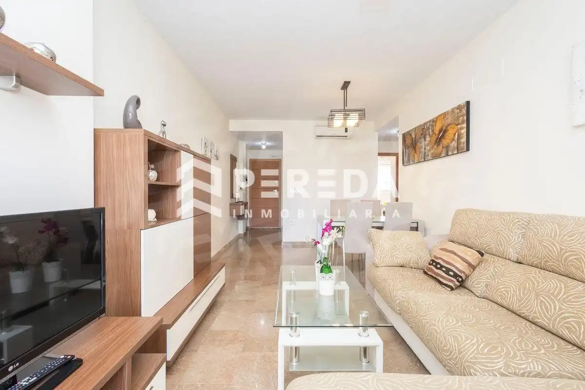 Living room of Apartments for sale in Roquetas de Mar  with Terrace, Furnished and Community pool