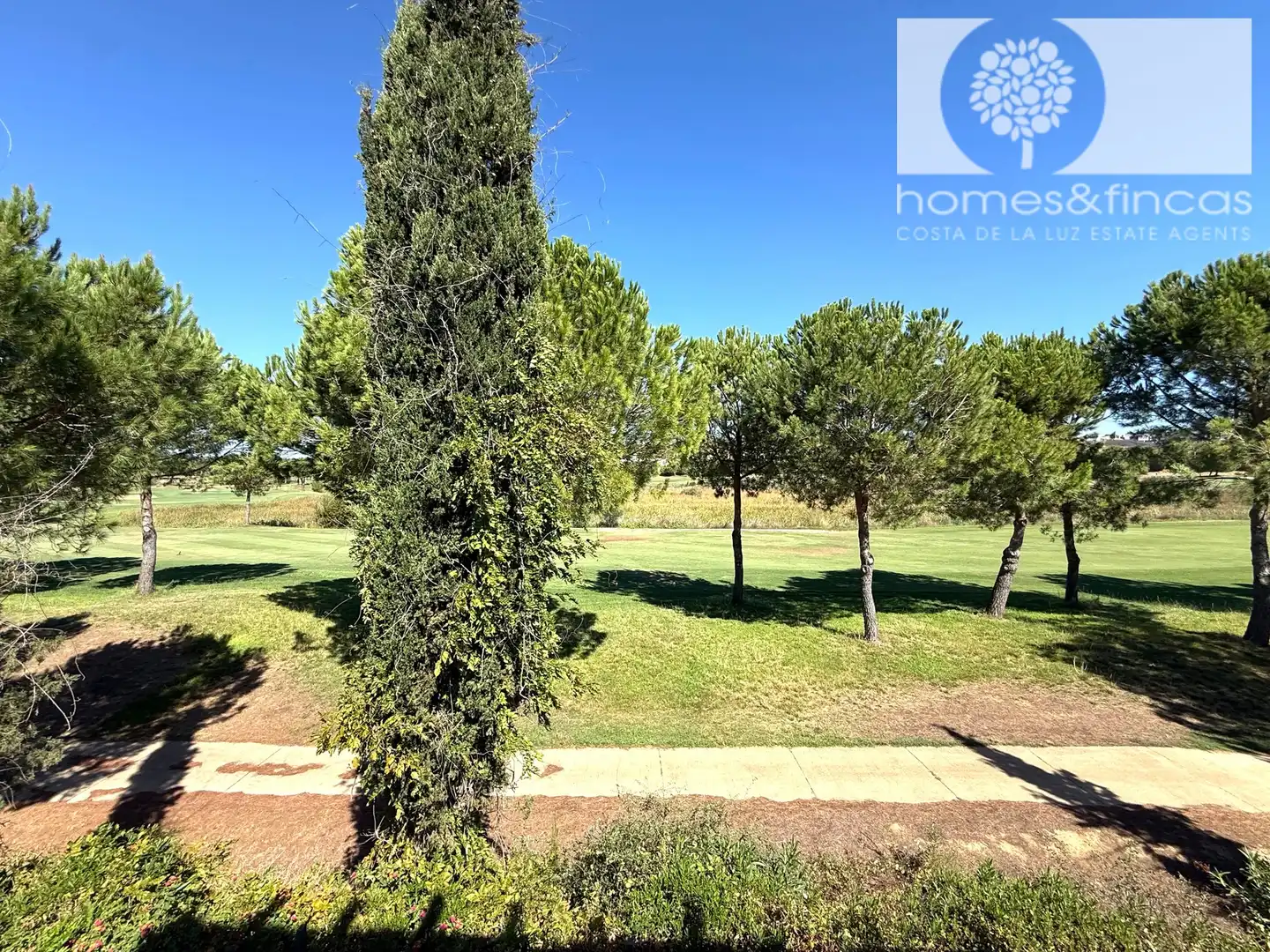 Casa con terrazza in vendita a Calle López de Ayala 7, imagen 47