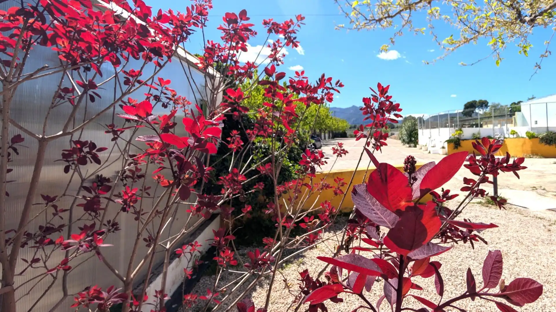 Casa o xalet en venda a Cortes - Huertas