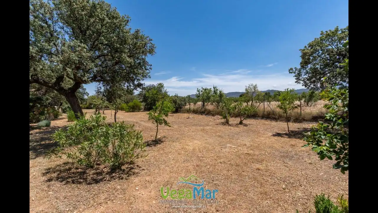 Country homes for sale in Freila