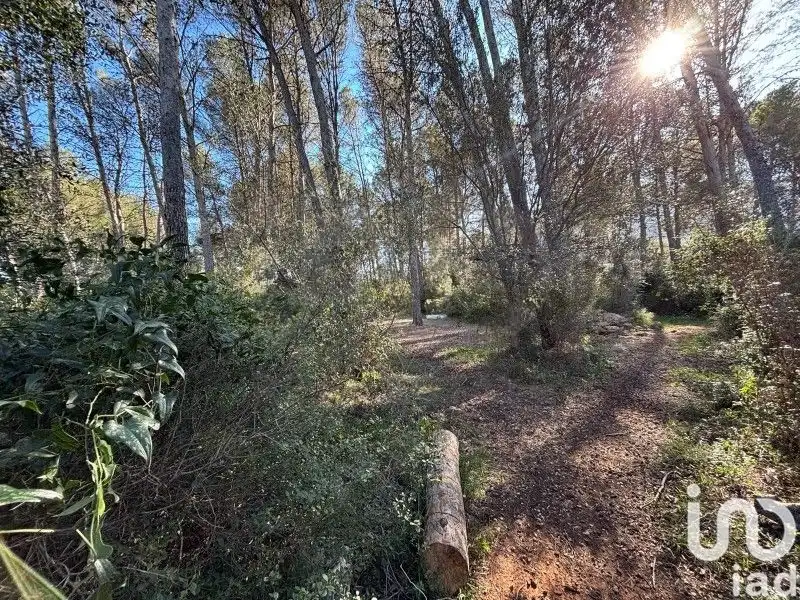 Maison rustique à vendre à Parcent, imagen 18