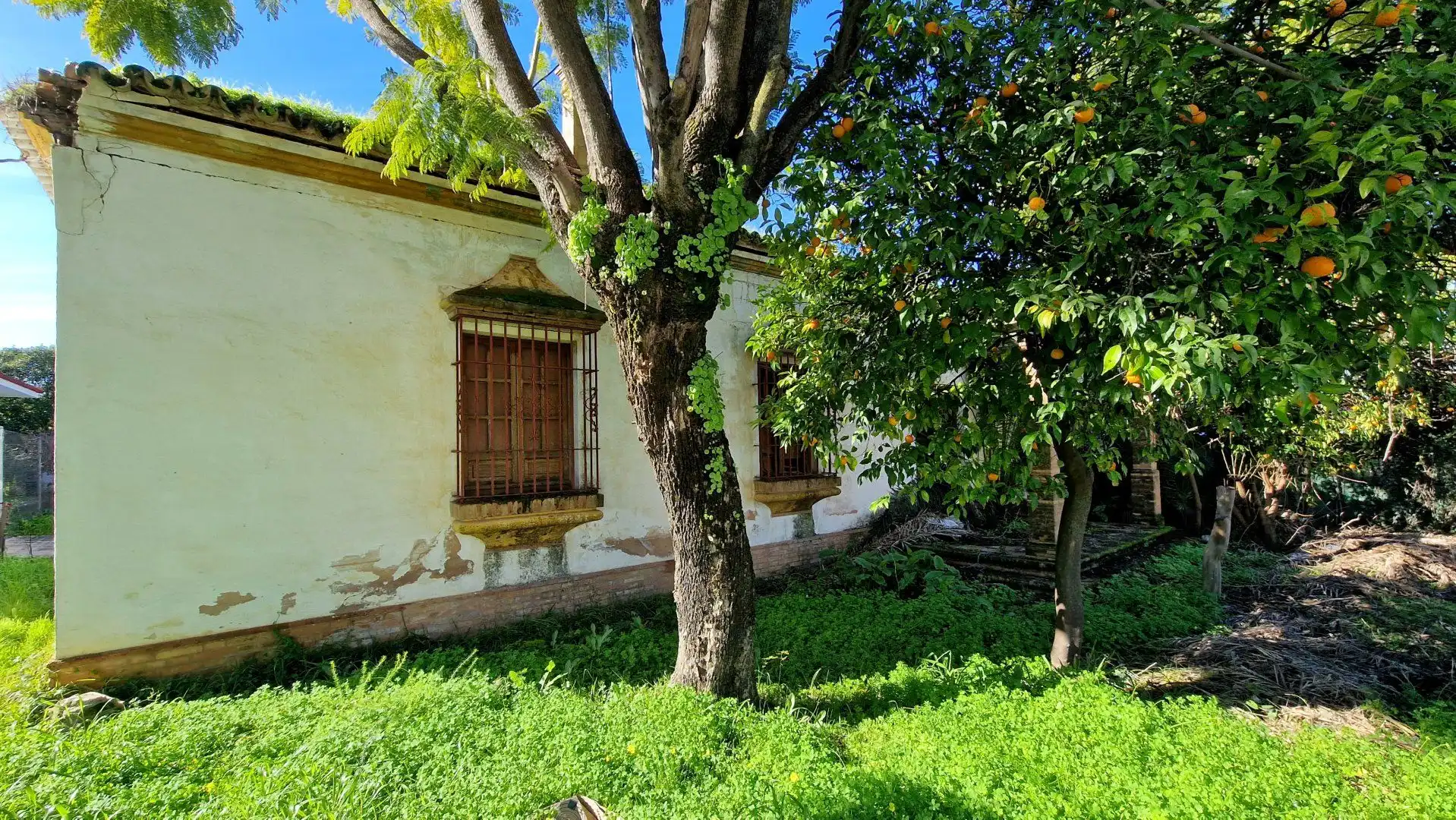 Vista exterior de Finca rústica en venta en Valencina de la Concepción