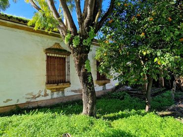 Villa à vendre à Avenida ANDALUCIA 32
