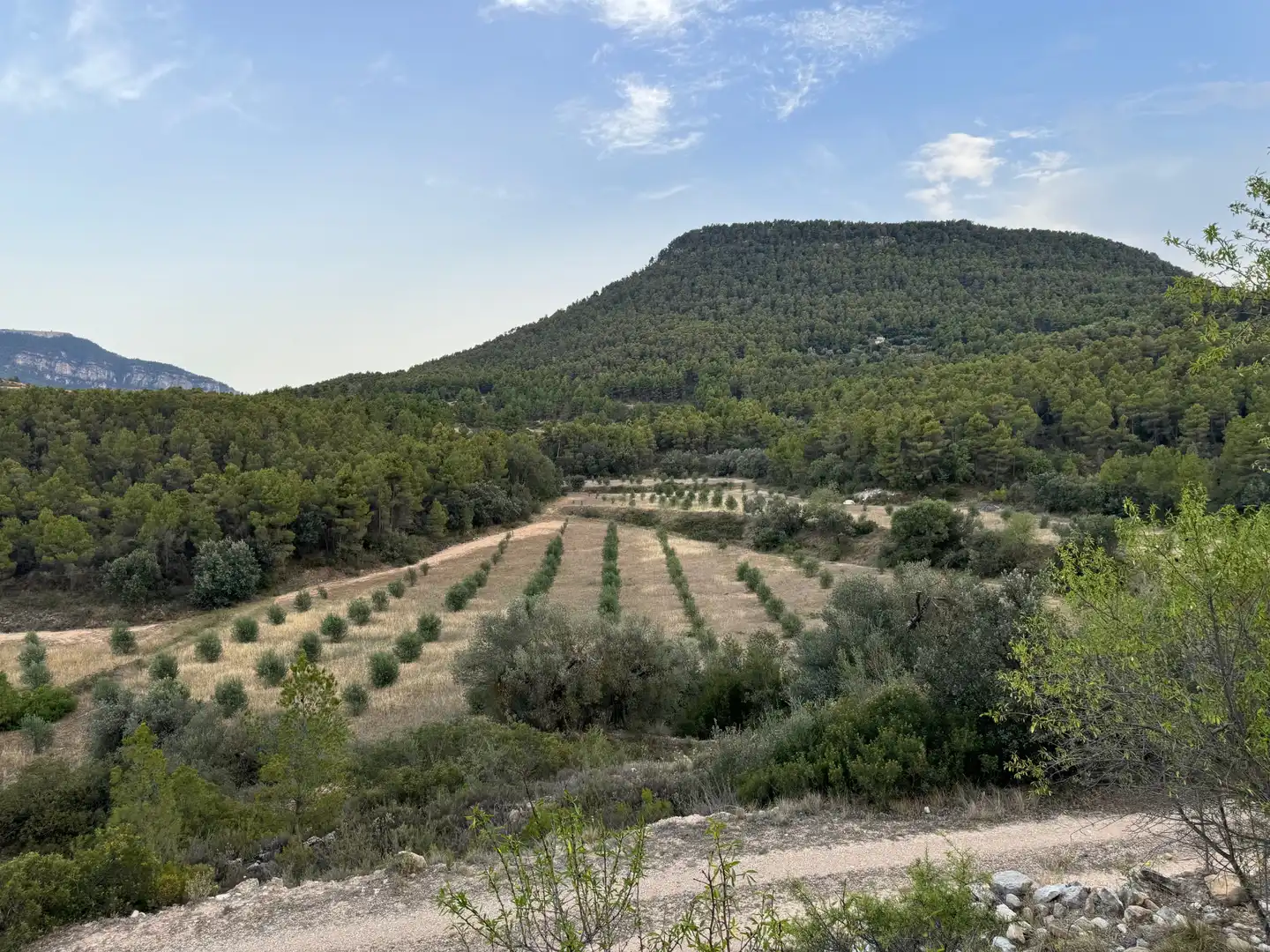 Terreni e lotti in vendita a Valderrobres, imagen 5