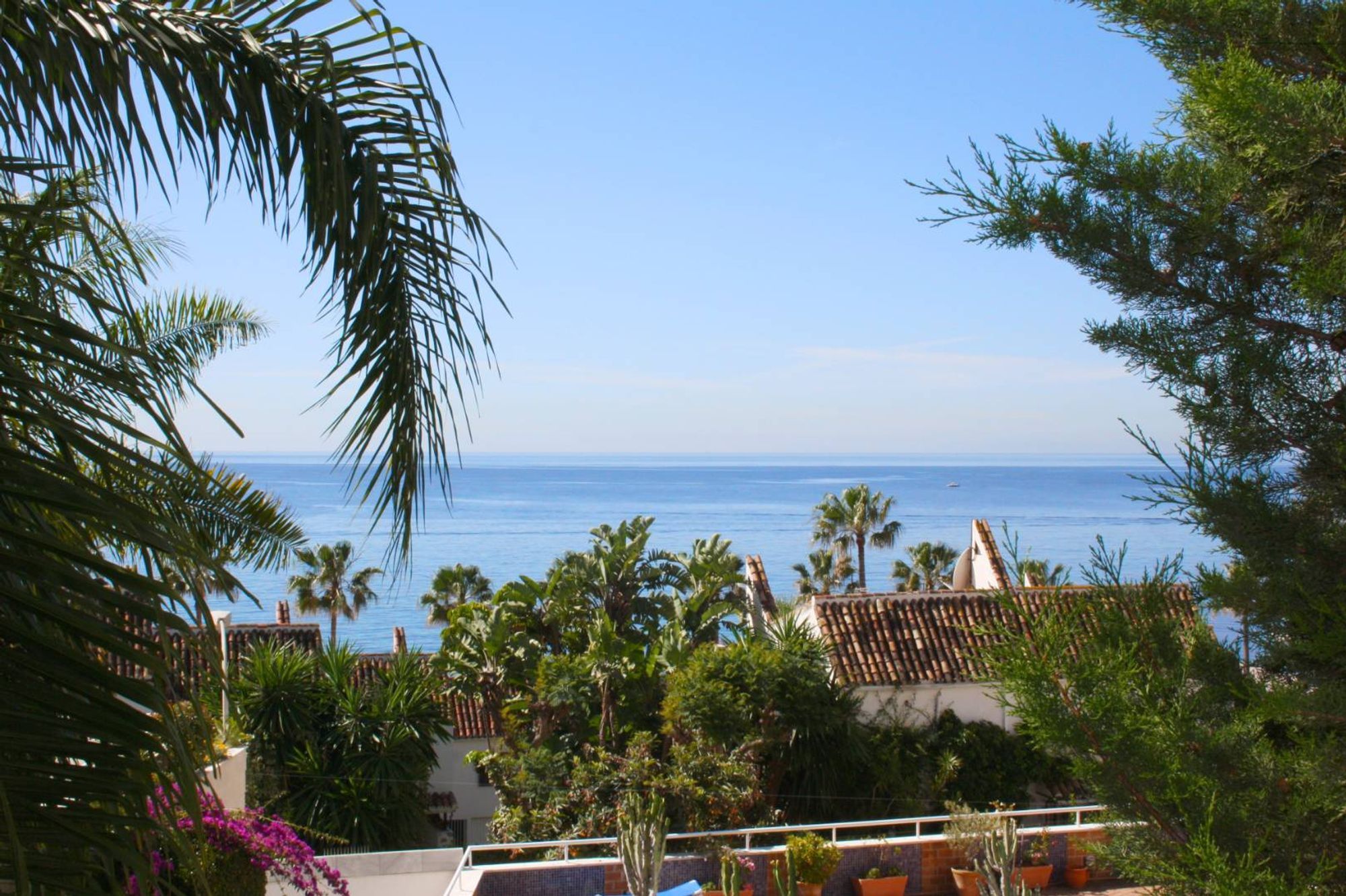 Garden of Apartment to rent in Marbella  with Terrace and Balcony