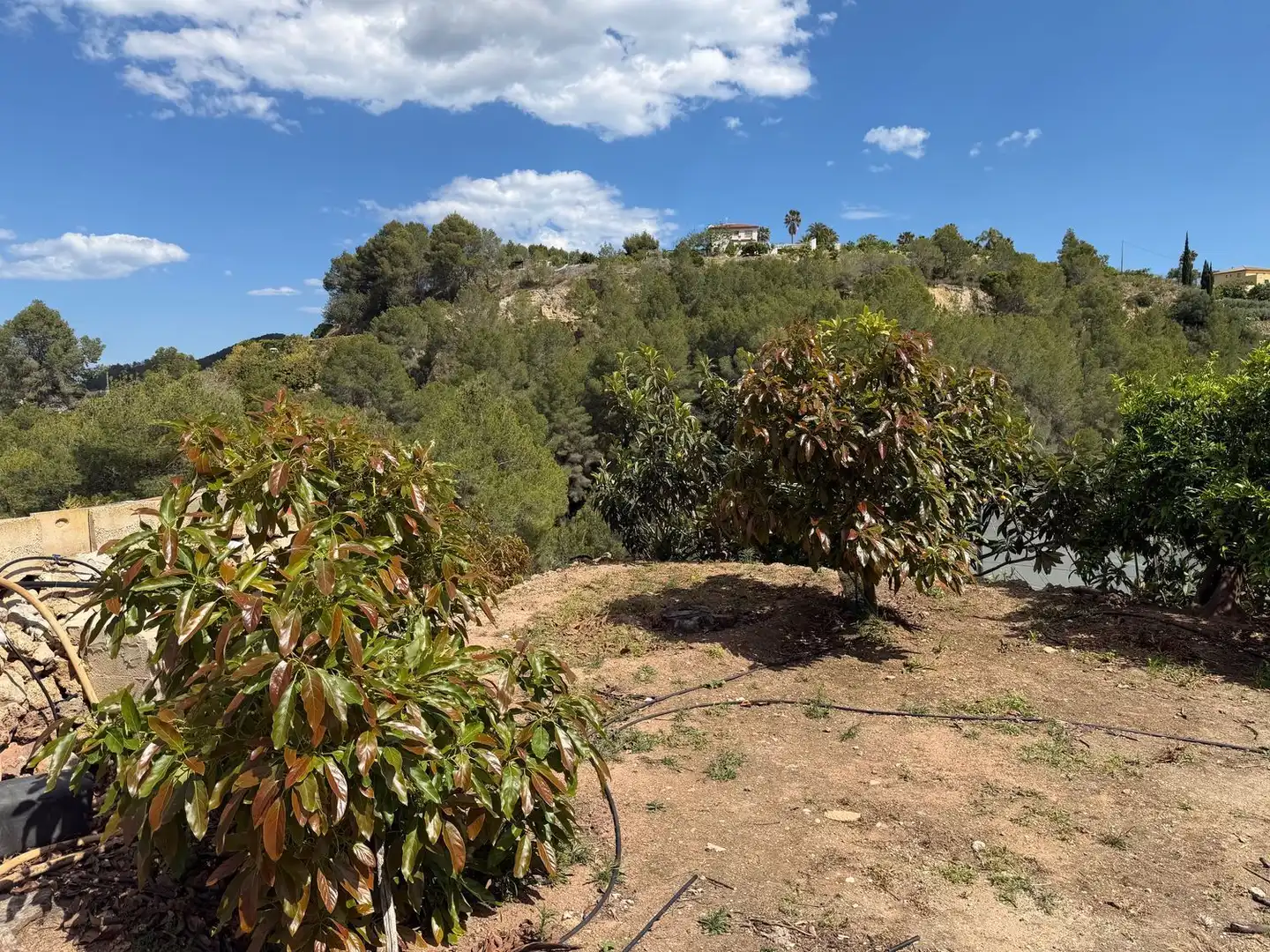 Finca rústica en venta en Polop