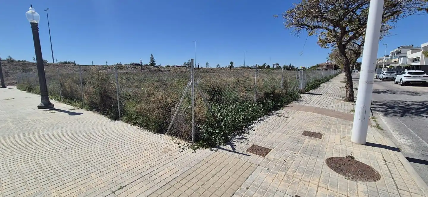 Lands and plots for sale in Elche ciudad, imagen 12