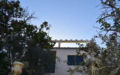 Casa o xalet en venda a Calle Huertas del Palmar, 155, El Palmar