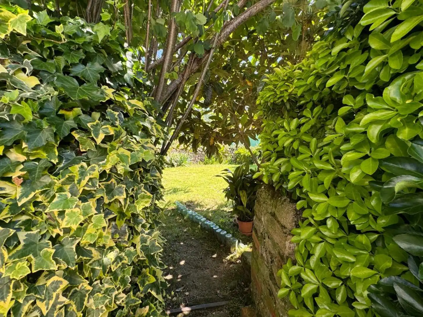 Jardí de Casa adosada en venda en Molledo