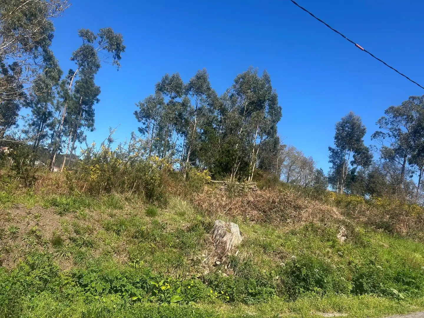 Terreny residencial en venda a Boiro, imagen 4