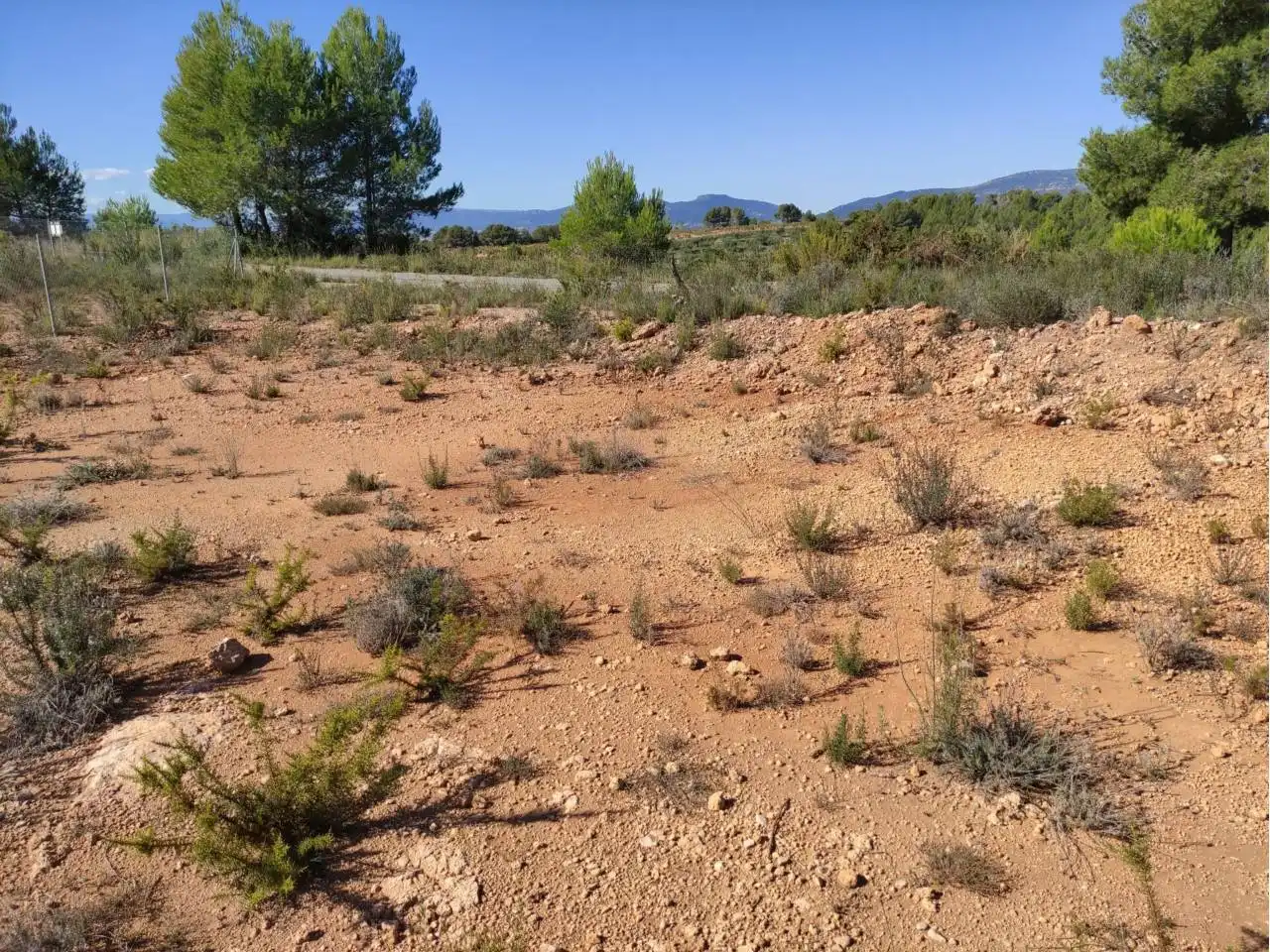 Rural land for sale in Calle Zamora, imagen 2