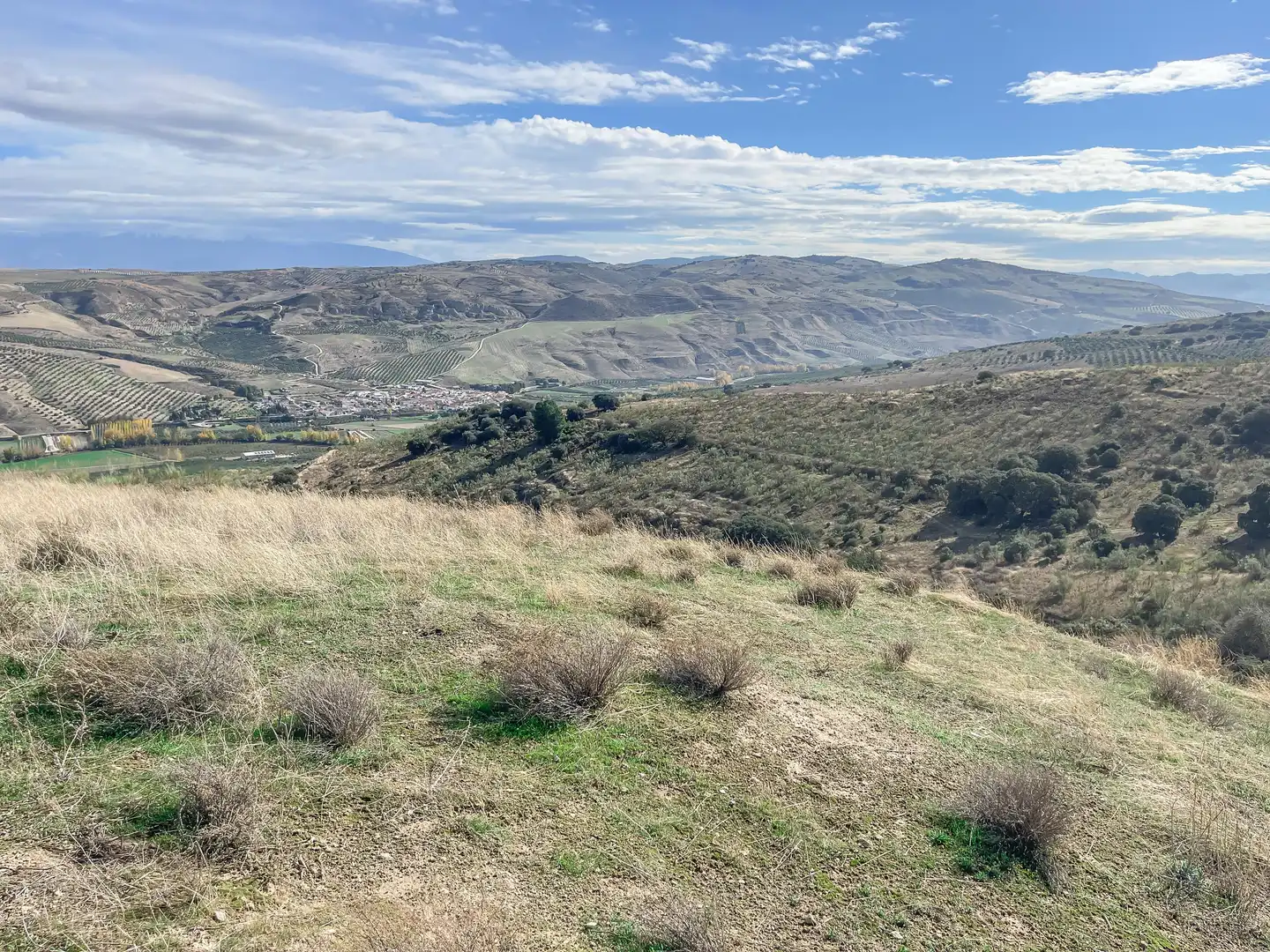 Grundstücke zum Verkauf in Alhama de Granada