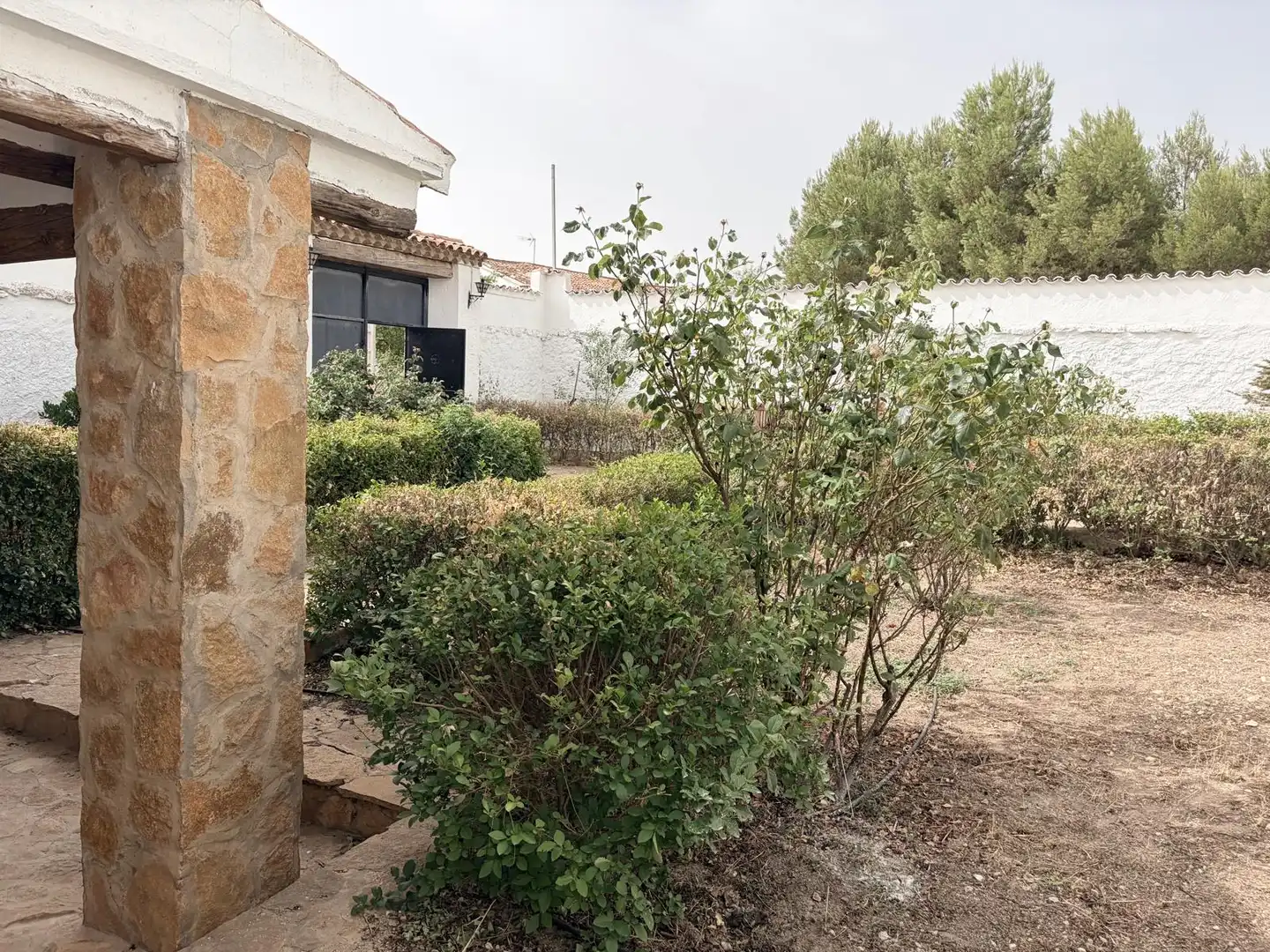 Jardí de Finca rústica en venda en Pozohondo amb Aire condicionat, Calefacció i Traster